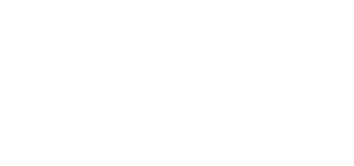 Netscout logo